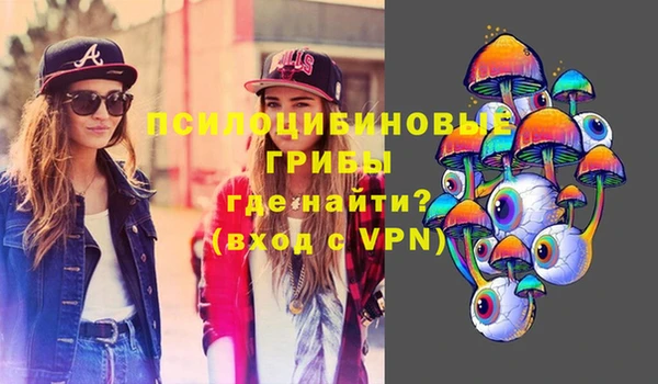 кокс Аркадак