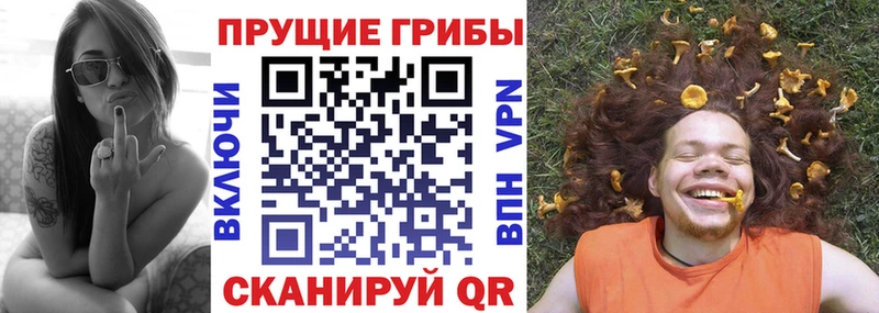 Псилоцибиновые грибы мицелий  Полысаево 