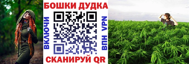 Бошки Шишки план  закладка  Полысаево 